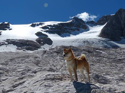 历史唯一性,当德国战车撞上英格兰裁判,樊振东的球拍却宣布胜利