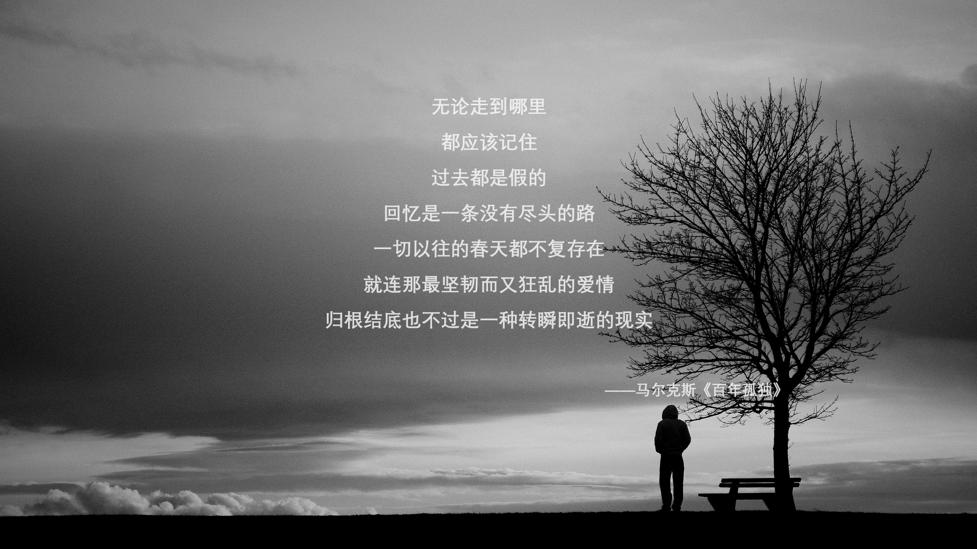 优雅的暴政,当阿斯顿马丁的唯一性碾压迈凯伦的范式,塞恩斯如何用反叛点燃赛场