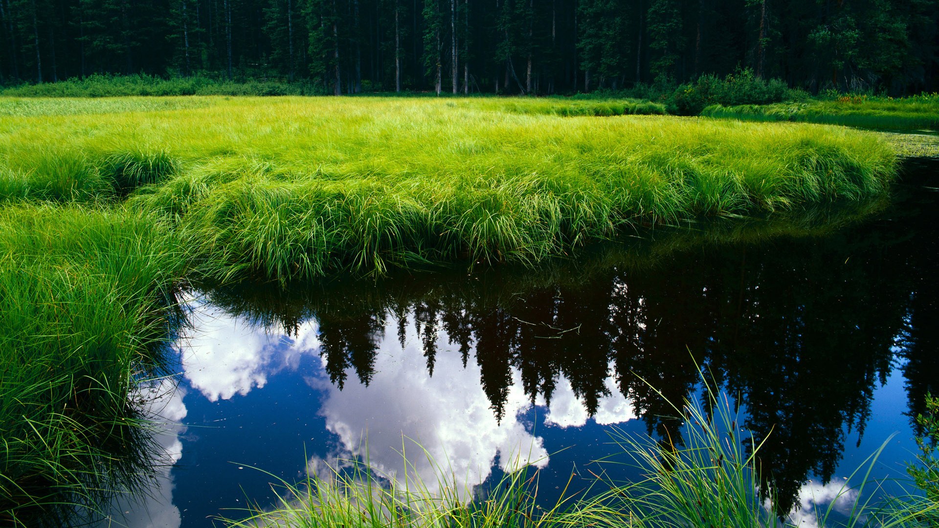 涡轮心脏，坎特在都灵之夜的关键节点连续开火