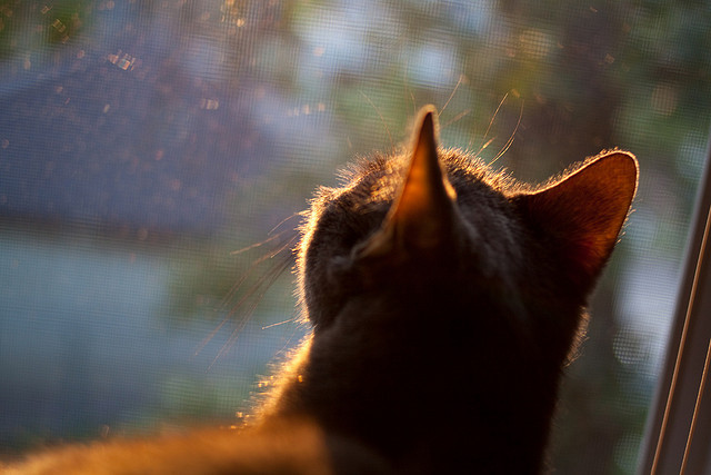 瑞士铁壁前的巴斯克重锤,富安健洋如何成为破解欧战密码的关键先生