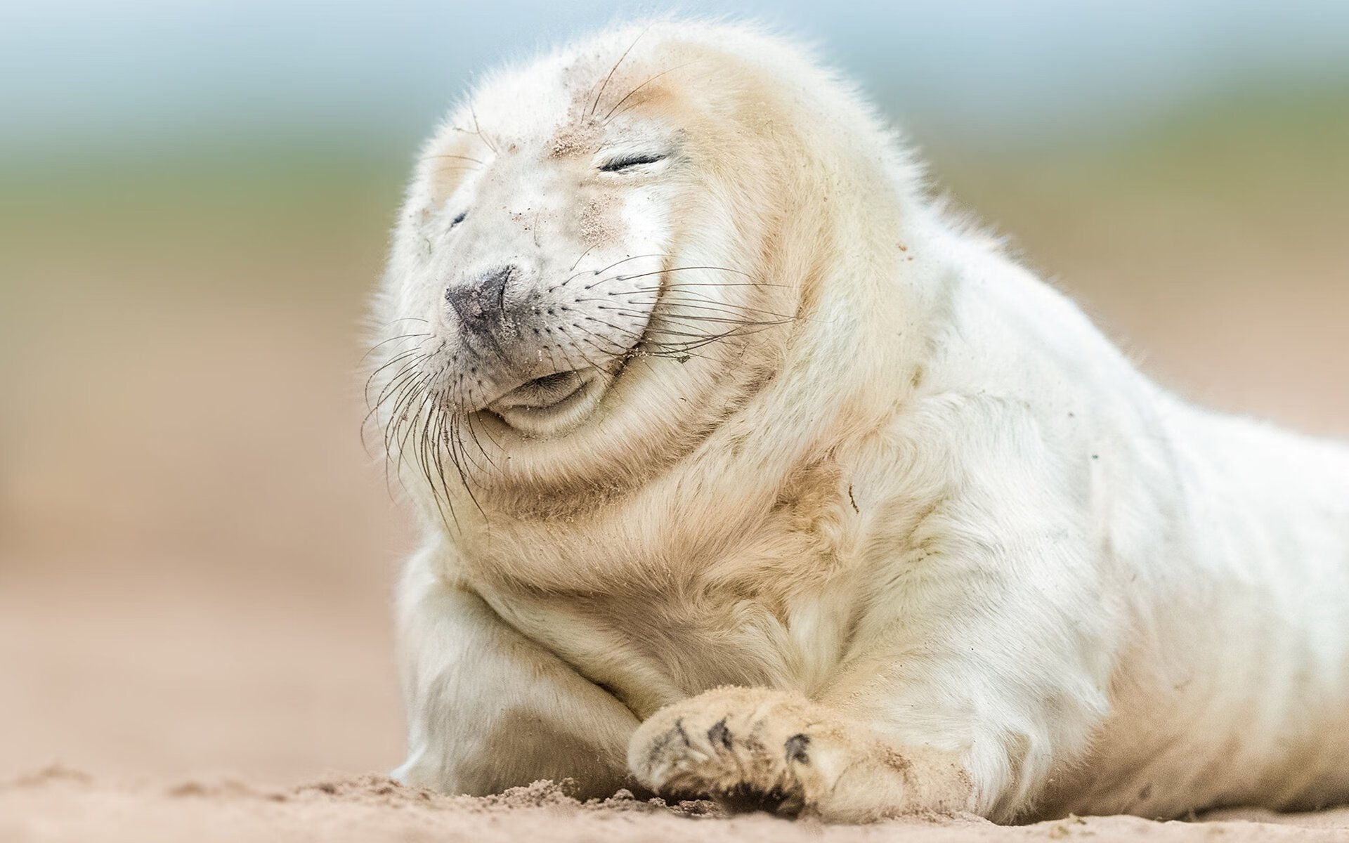 爱游戏官方-绿茵终局的艺术，C罗领衔葡萄牙，在年度焦点战中完成对沙特的优雅收割