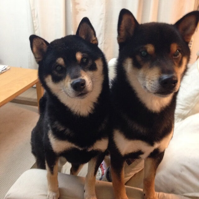 爱游戏入口-冰与火之歌，梅西于极寒鏖战中熔铸神迹，一役封神定鼎年度焦点