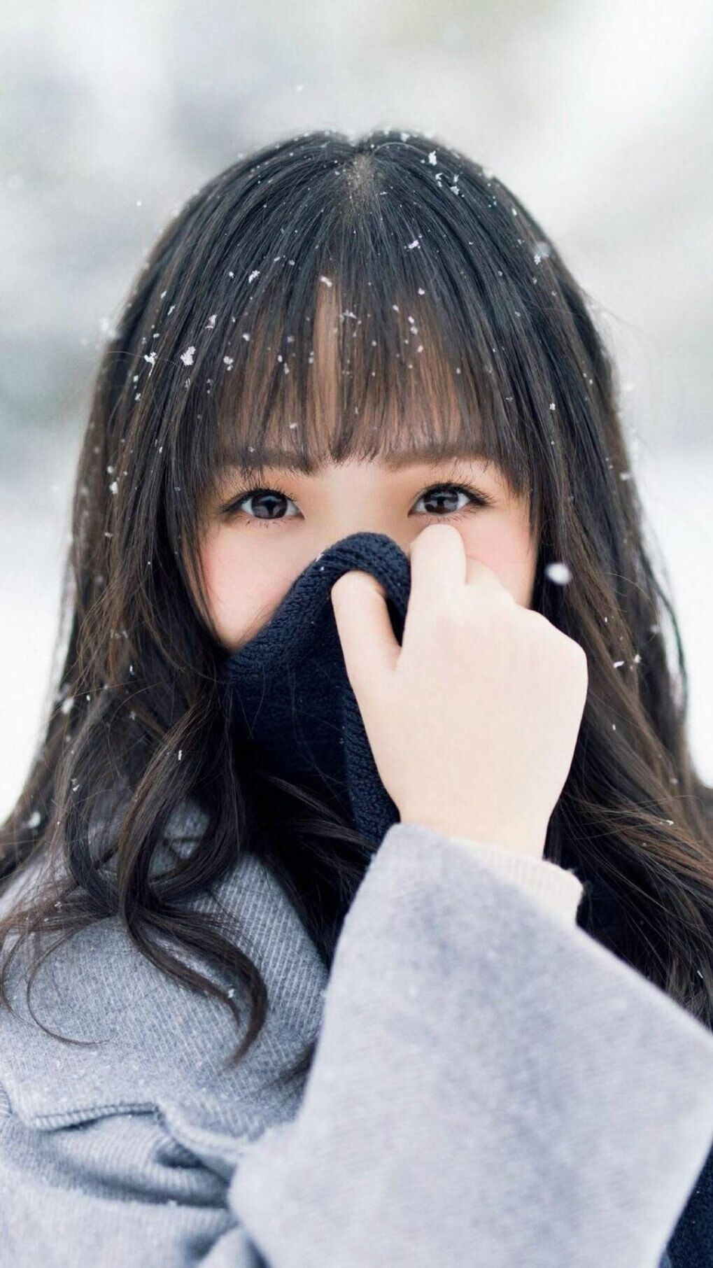 节奏活塞的智慧,吉林队的掌控哲学如何点燃武切维奇2026世界杯的统治之火