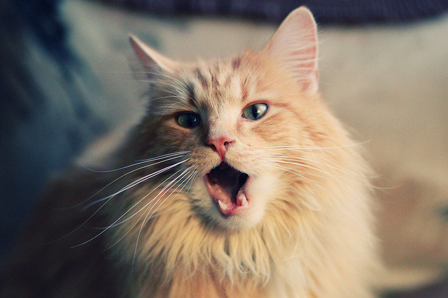 爱游戏入口-钢铁之盾碾压青春风暴，马竞如何用窒息式战术扼杀多特蒙德？