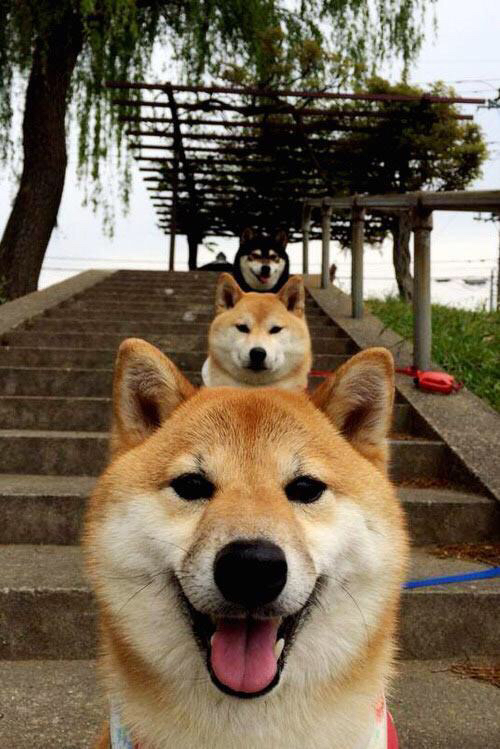 平行宇宙的对决，当库里绝境救赎，马刺的传奇仍在血脉中延续