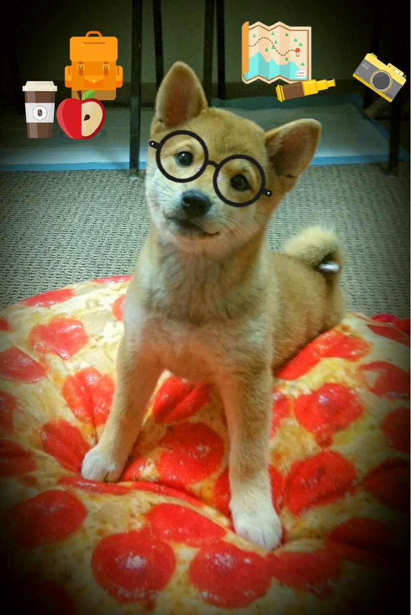 爱游戏tv-奥亚尔萨瓦尔爆发点燃奇迹之夜，埃及补时绝杀丹麦震撼足坛