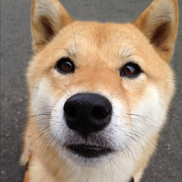 加拿大足球历史性突破,提前终结悬念击败马德里竞技,斯通斯化身关键先生