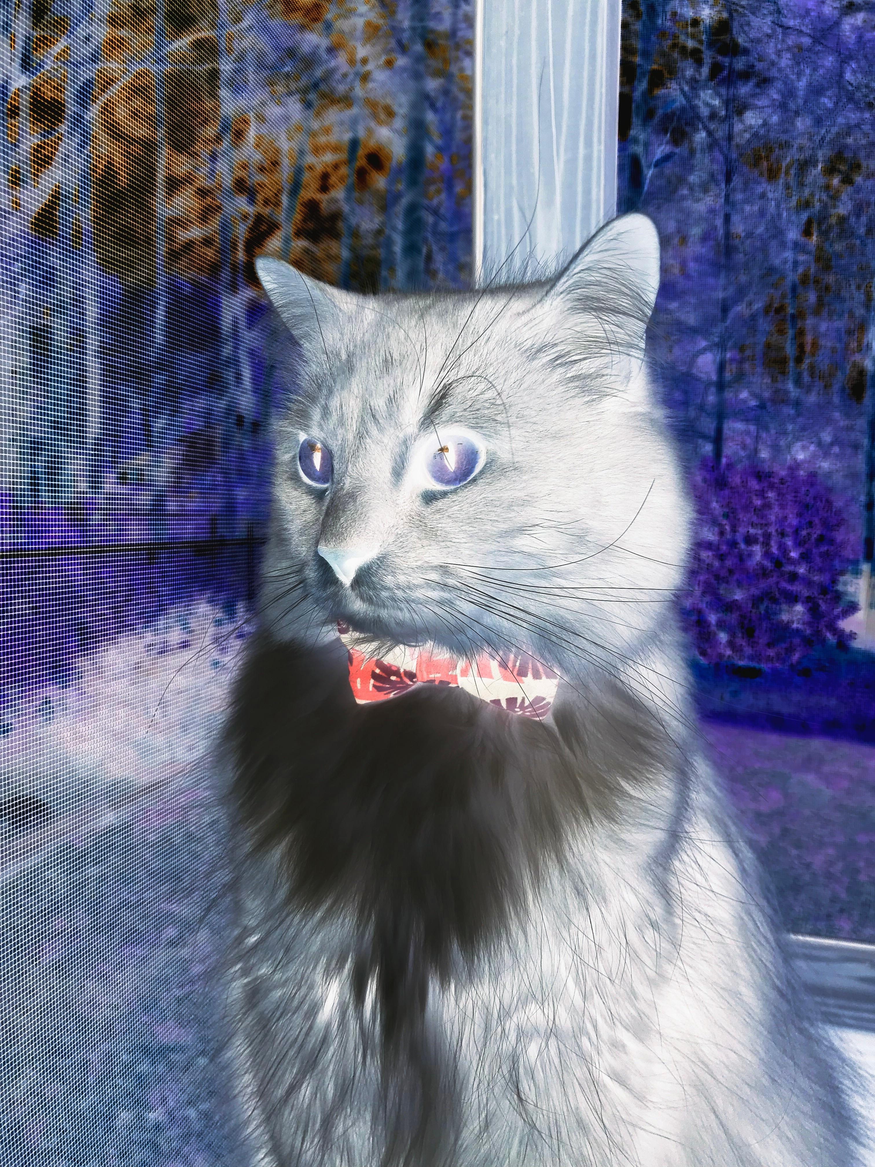 奥运前哨战,热火的绞杀链如何终结太阳攻势?