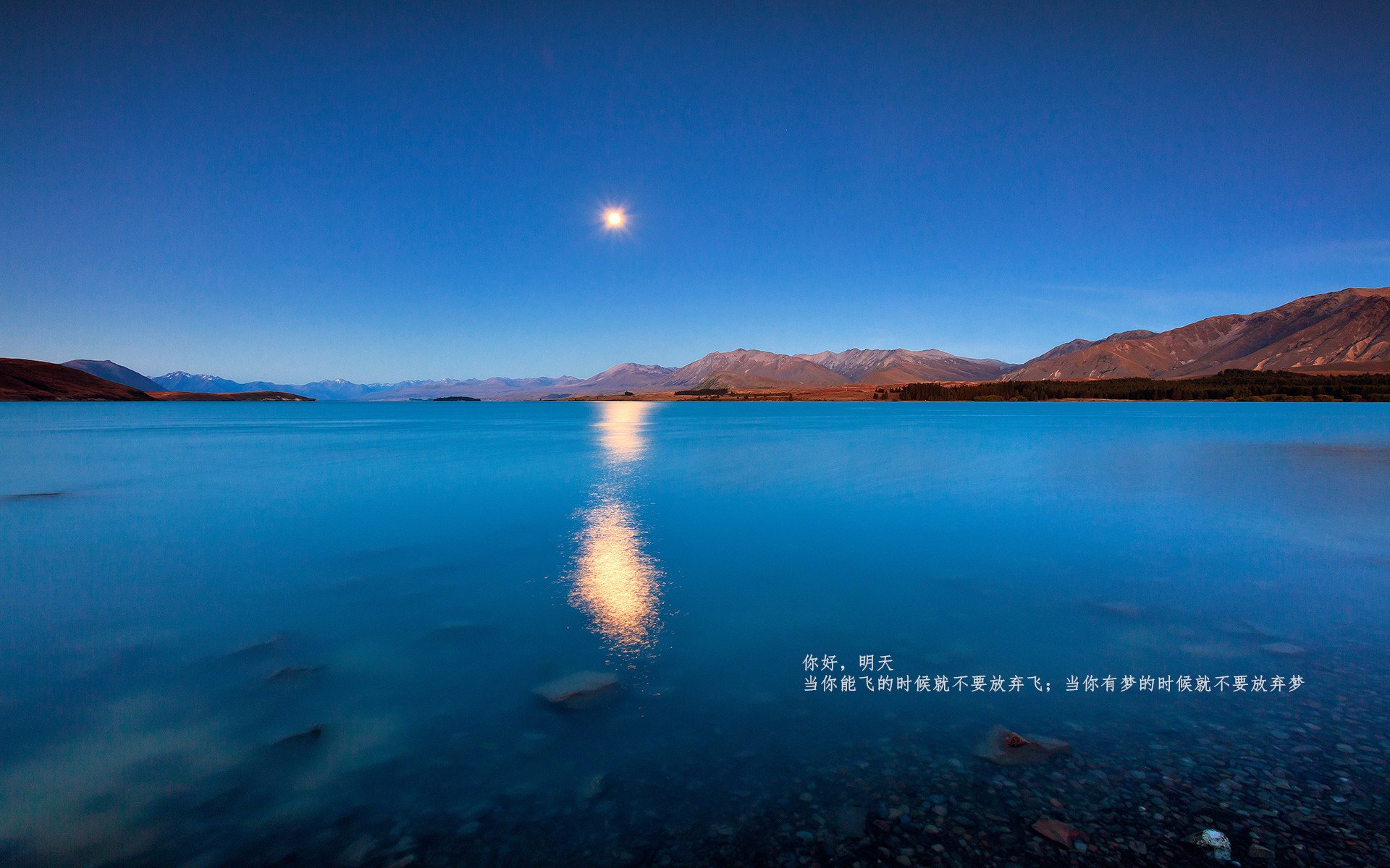 巨星划破夜空，多特蒙德的瑞士双刃剑