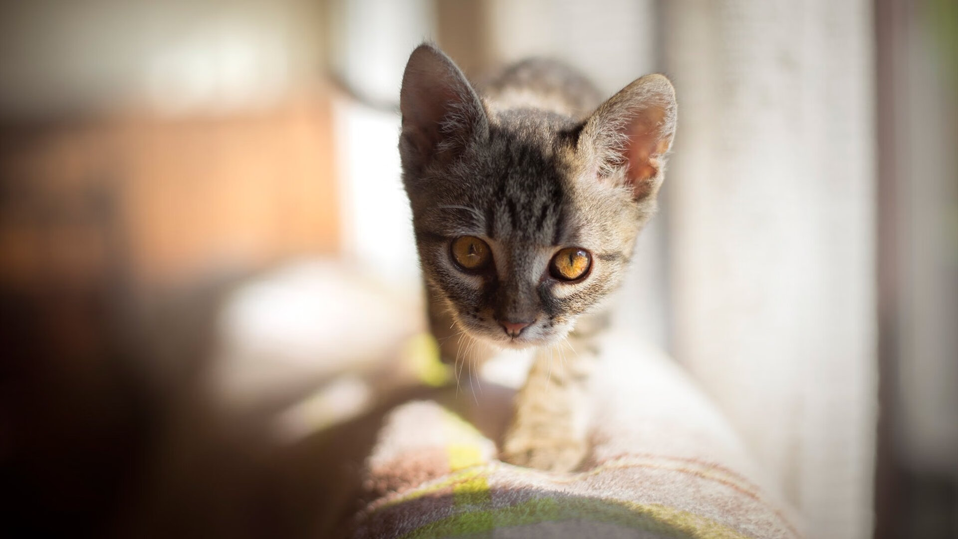 爱游戏体育-梦幻交锋，拜仁慕尼黑对阵哥斯达黎加友谊赛，内马尔客串点燃赛场激情