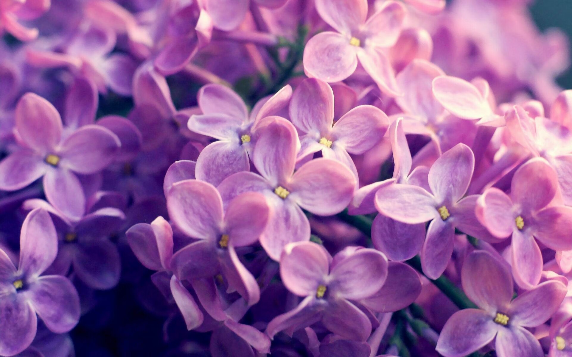 奥运生死战，多特蒙德小将掀翻乌拉圭，范戴克领袖本色锁定胜局