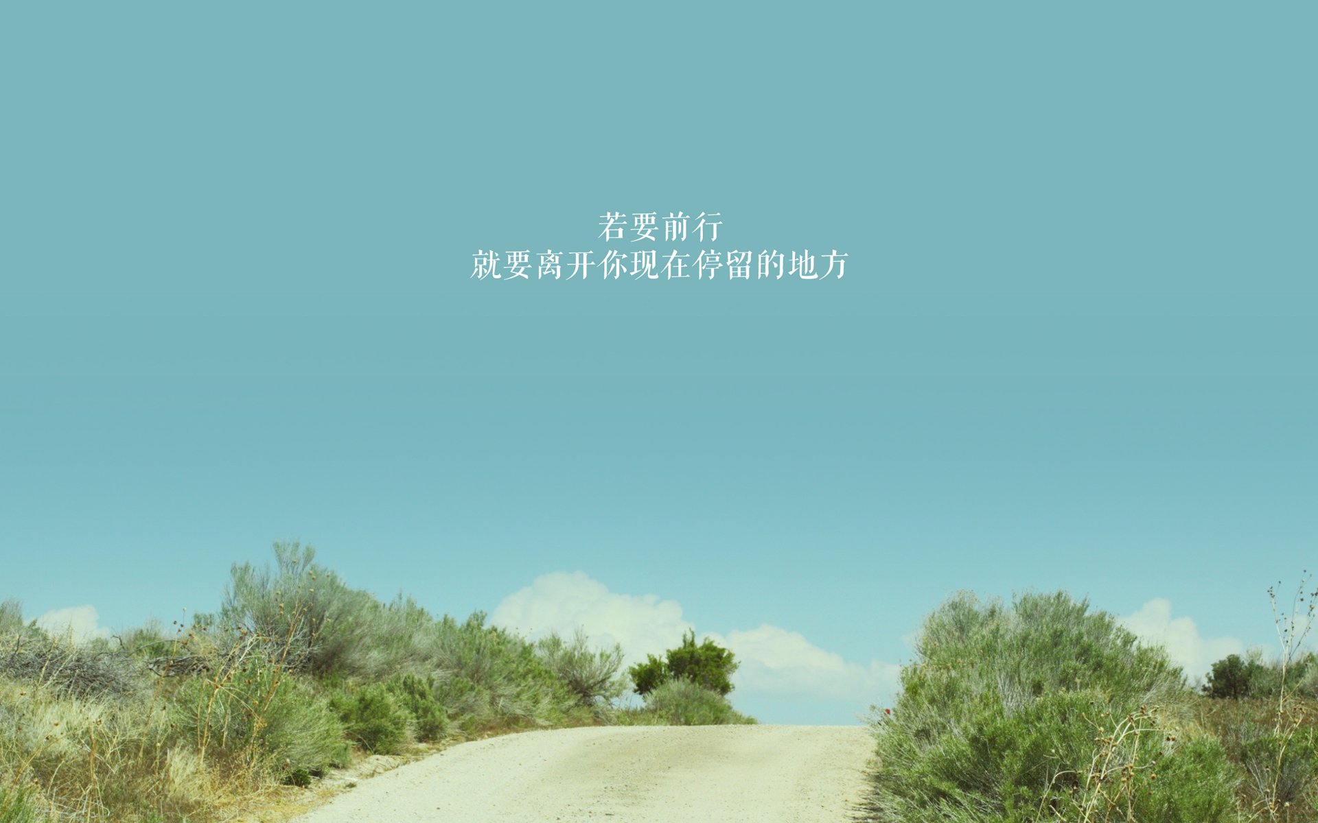 教科书级的个人表演，为何败给了教科书级的团队胜利？文班亚马的完美与吉林队的奇迹