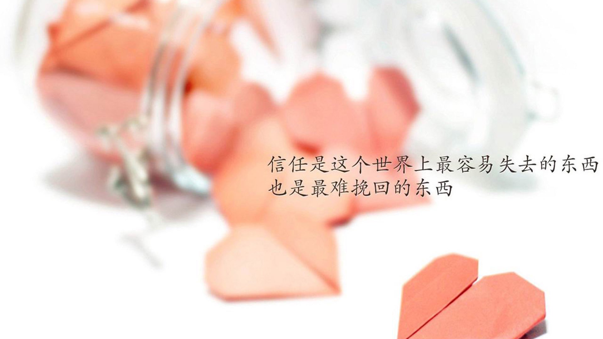 2026世界杯G组激战，美国力克印度，B费闪耀全场点燃北美之夜