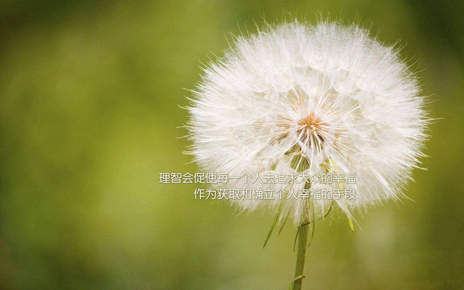 爱游戏入口-柏林墙下的红色风暴，2026世界杯C组，匈牙利用一场胜利改写了宿命，穆西亚拉引领德国新纪元