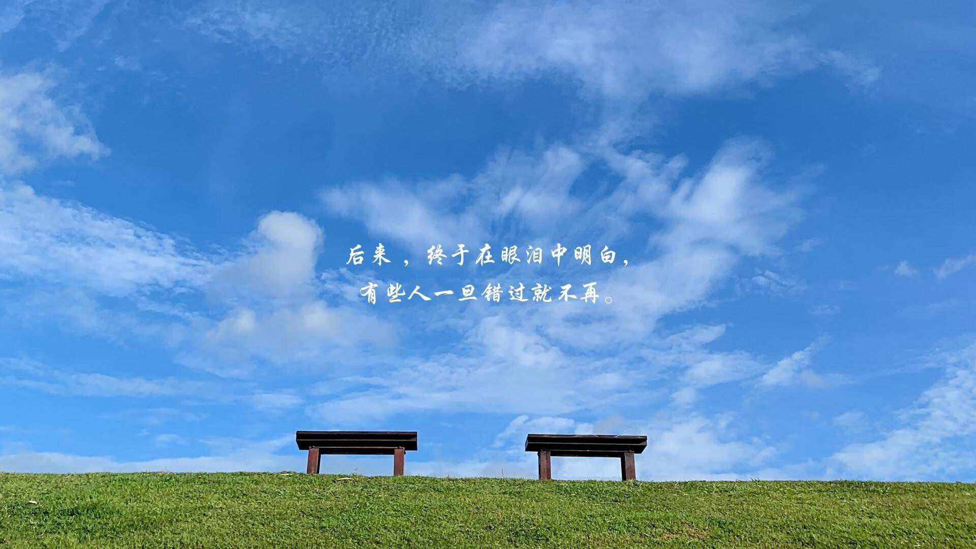 沙漠之鹰与非洲雄狮的碰撞,2026世界杯B组,伊朗如何用一场碾压宣告亚洲崛起